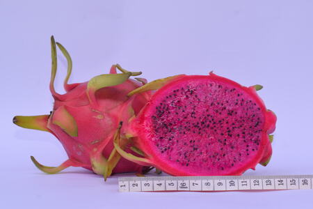 Dragon fruit slices